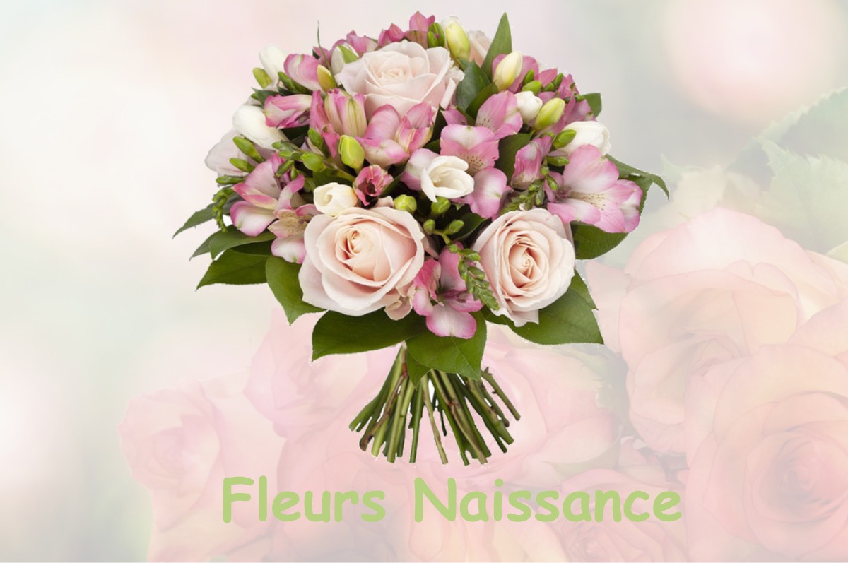 fleurs naissance LA-GRANDE-FOSSE